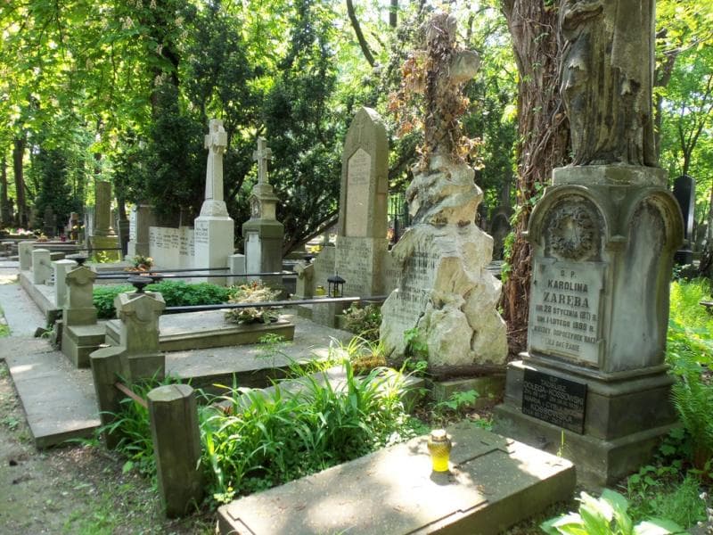 Zdjęcie grobu Władysław Niesiołowski (1)