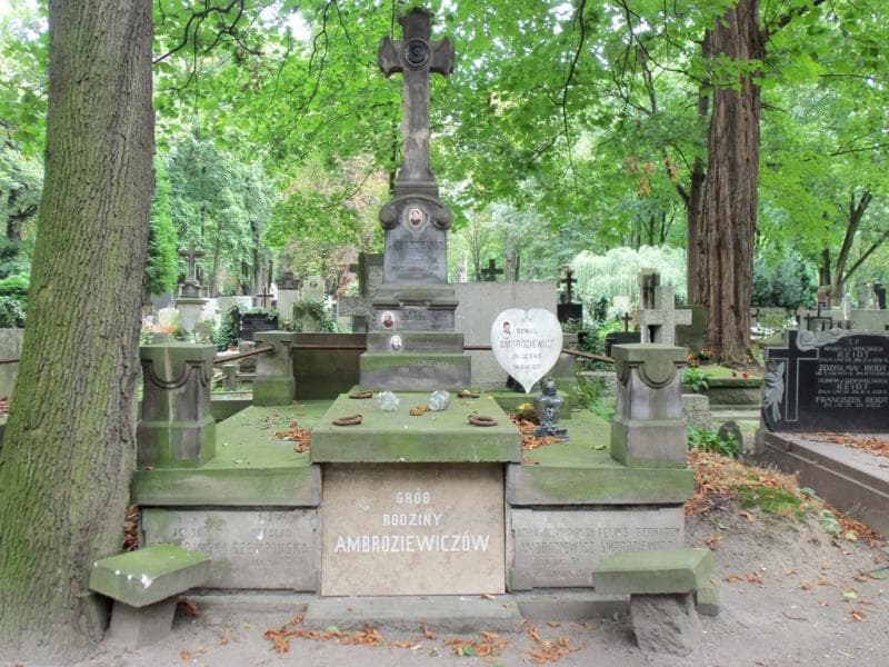 Zdjęcie grobu: Wiktor Marciniak