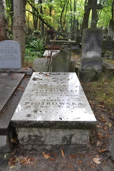 Zdjęcie grobu Józef Leszczyc-Radoliński (1)