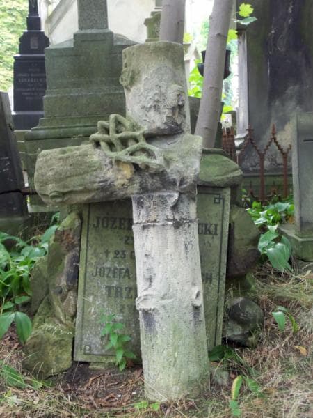 Zdjęcie grobu Józef Trzeciecki (2)