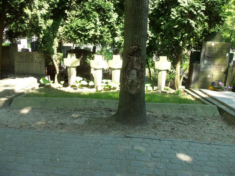Zdjęcie grobu: Irena Adamiak