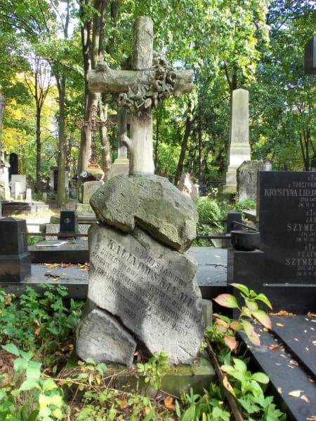 Zdjęcie grobu Feliks Lipiński (2)