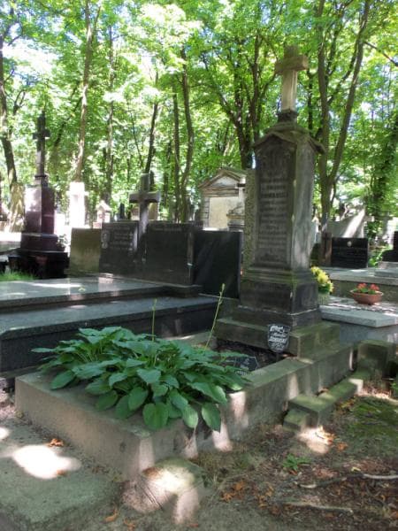 Zdjęcie grobu Zygmunt Laryssa Domański (1)