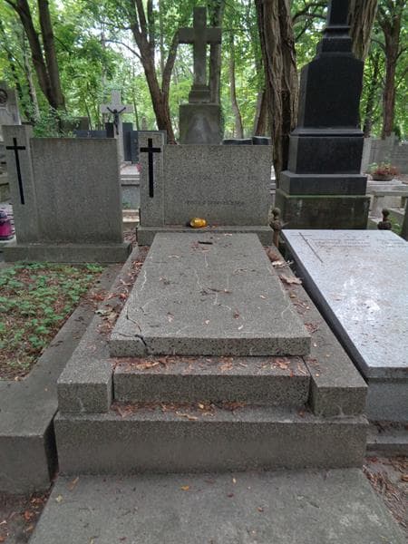 Zdjęcie grobu Bronisław Boczek (1)