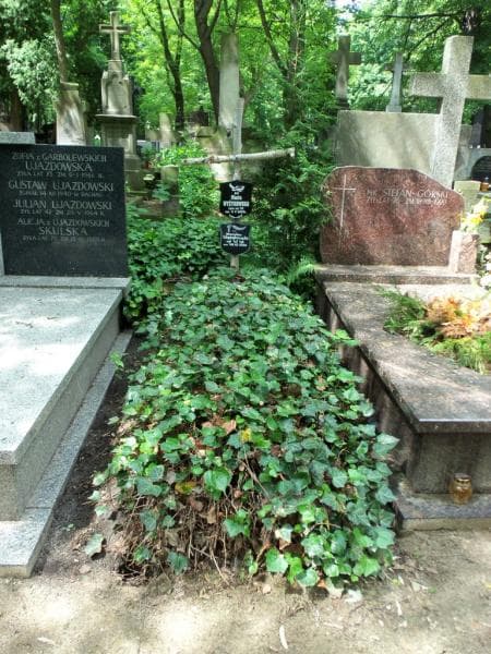 Zdjęcie grobu: Stanisław Wyżykowski