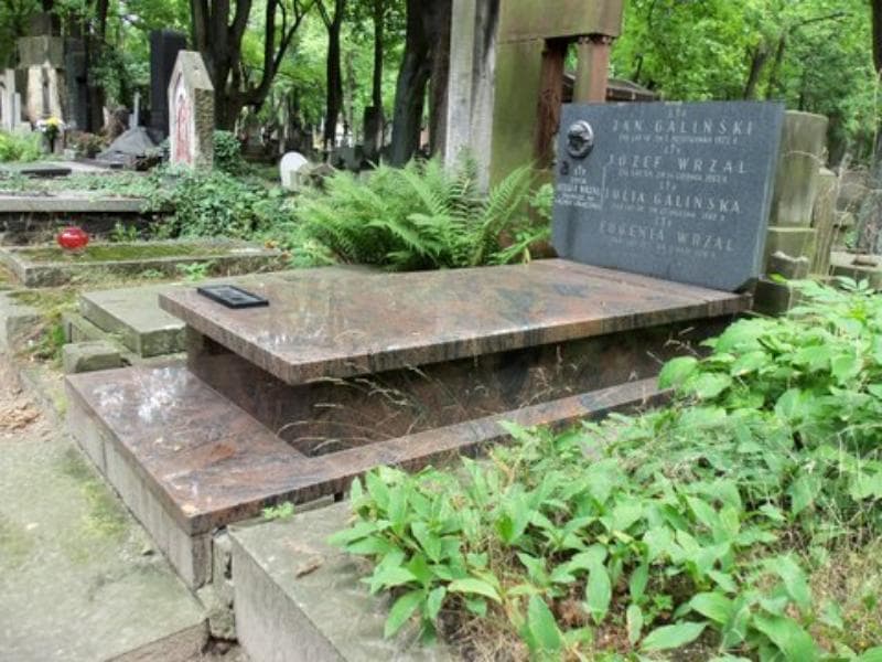 Zdjęcie grobu Józef Wrzal (1)