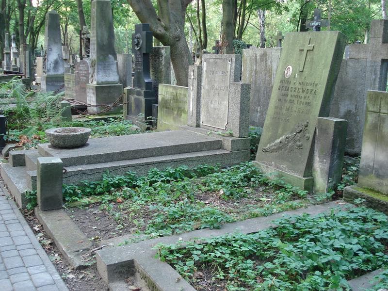 Zdjęcie grobu: Helena Ostaszewska