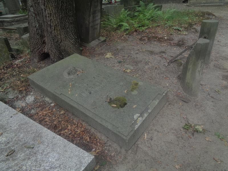 Zdjęcie grobu: Kazimierz Wysokiński