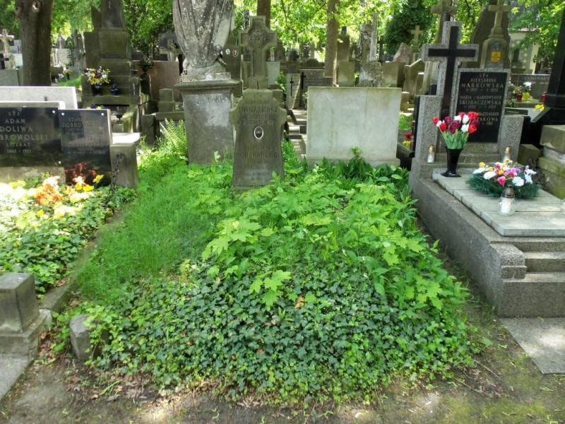Zdjęcie grobu: Bronisława Grabowska