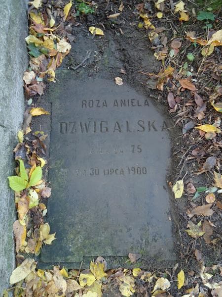Zdjęcie grobu Róża Aniela Dźwigalska (2)
