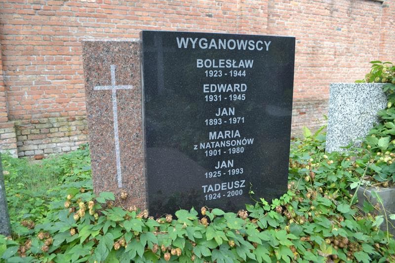 Zdjęcie grobu Jan Wyganowski (2)