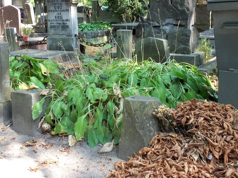 Zdjęcie grobu Emilja Kurnatowska (1)