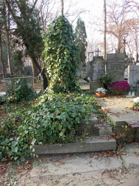 Zdjęcie grobu: Aurelia Schafnagl