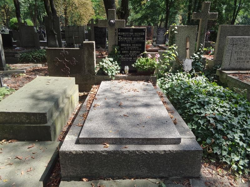 Zdjęcie grobu Eugenia Heintze (1)