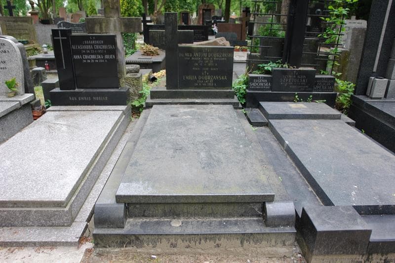 Zdjęcie grobu Antoni Dobrzański (1)