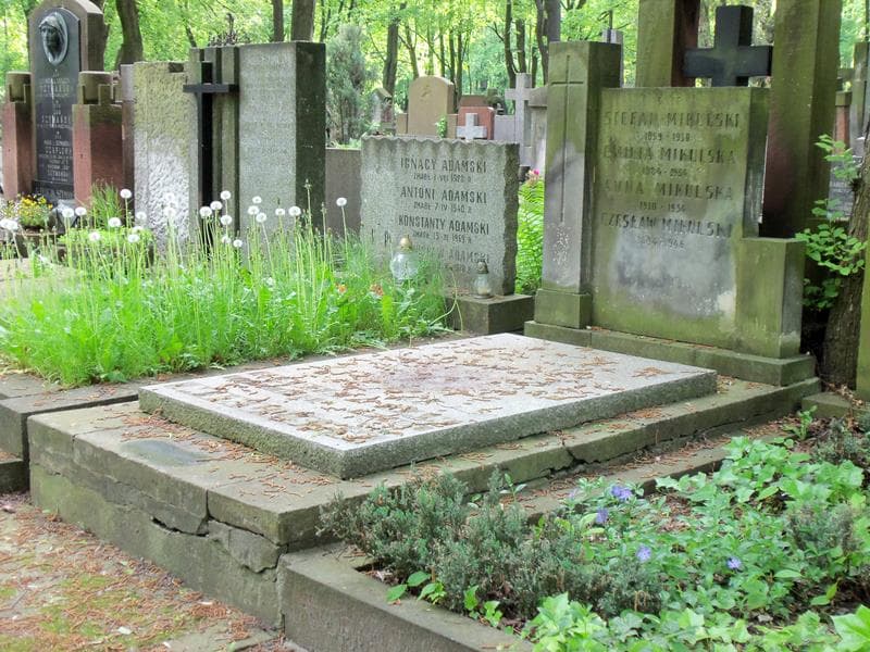 Zdjęcie grobu Anna Mikulska (1)