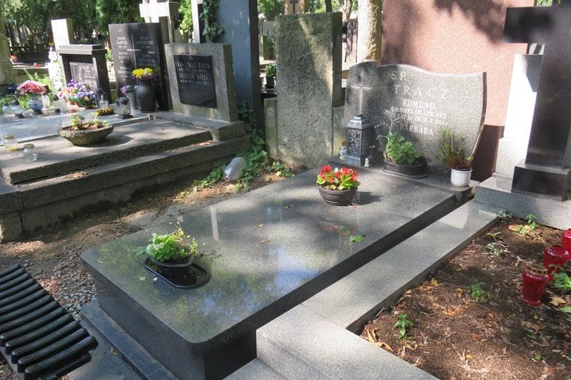 Zdjęcie grobu: Edmund Tracz
