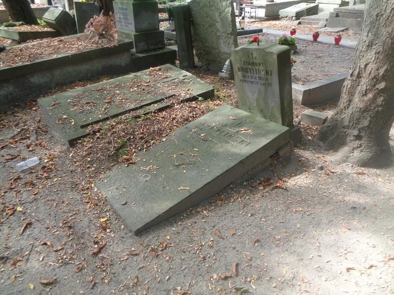 Zdjęcie grobu: Zygmunt Kobyliński