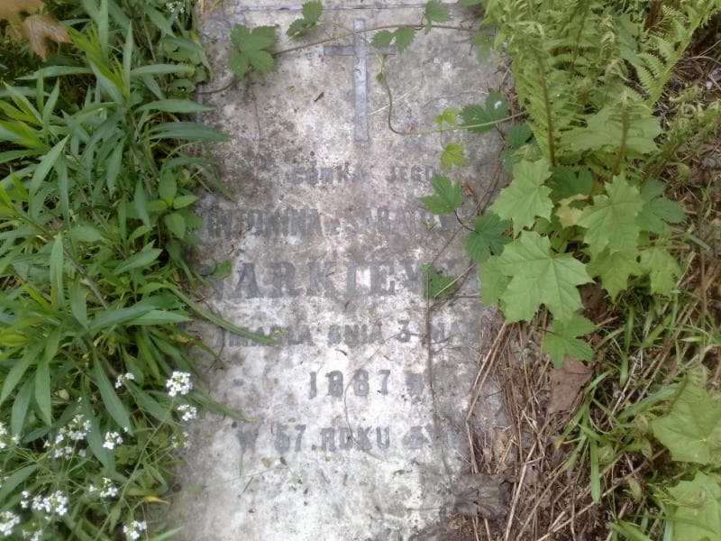 Zdjęcie grobu Antonina Narkiewicz (1)