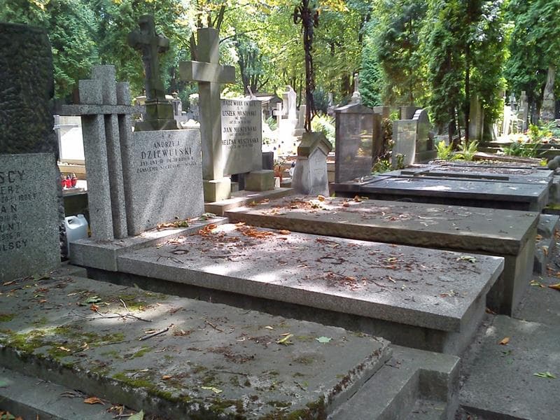 Zdjęcie grobu: Andrzej Dziewulski