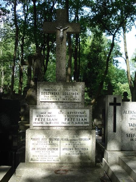 Zdjęcie grobu Pelagia Kobylińska (2)