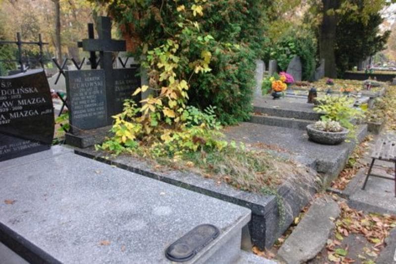 Zdjęcie grobu Henryk Żukowski (1)