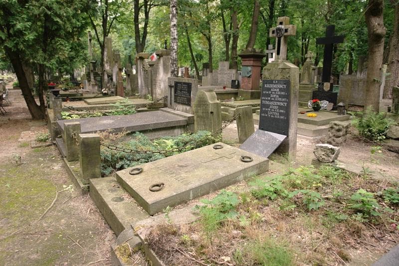 Zdjęcie grobu: Lucyna Tomaszewska
