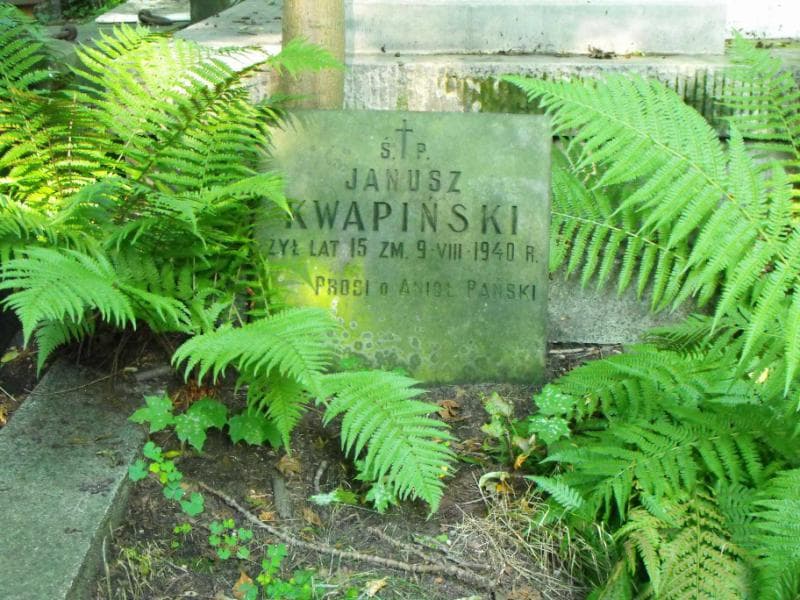 Zdjęcie grobu Janusz Kwapiński (1)