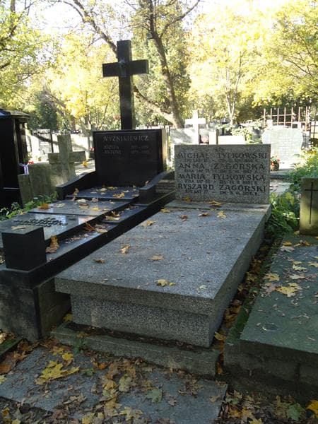 Zdjęcie grobu Michał Tylkowski (1)