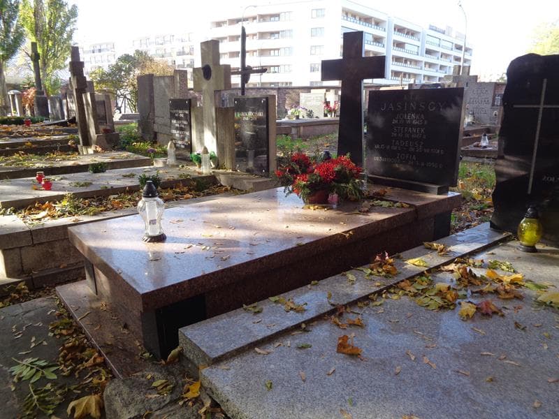 Zdjęcie grobu: Stefanek Jasiński