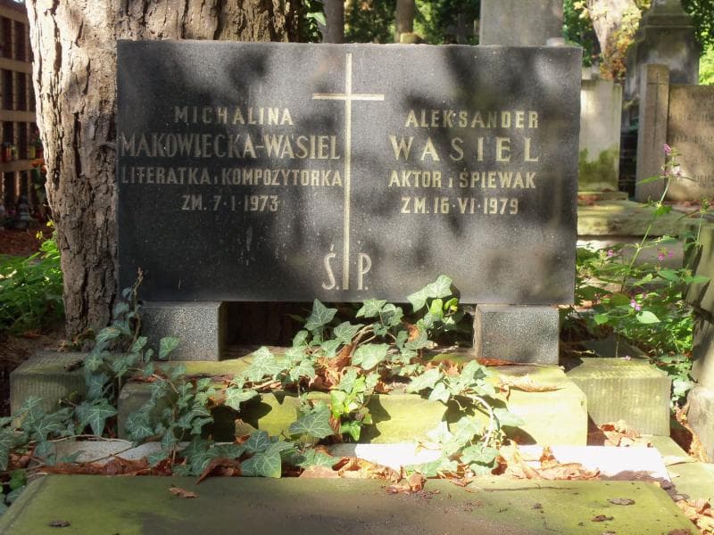 Zdjęcie grobu Aleksander Wasiel (2)