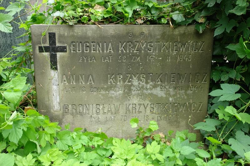 Zdjęcie grobu Anna Krzystkiewicz (2)