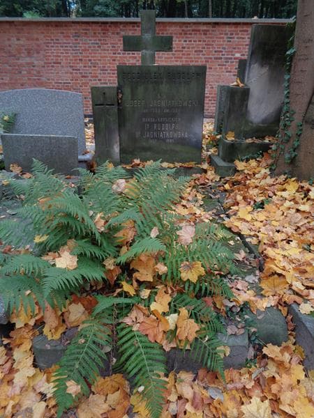 Zdjęcie grobu Józef Jagniątkowski (1)