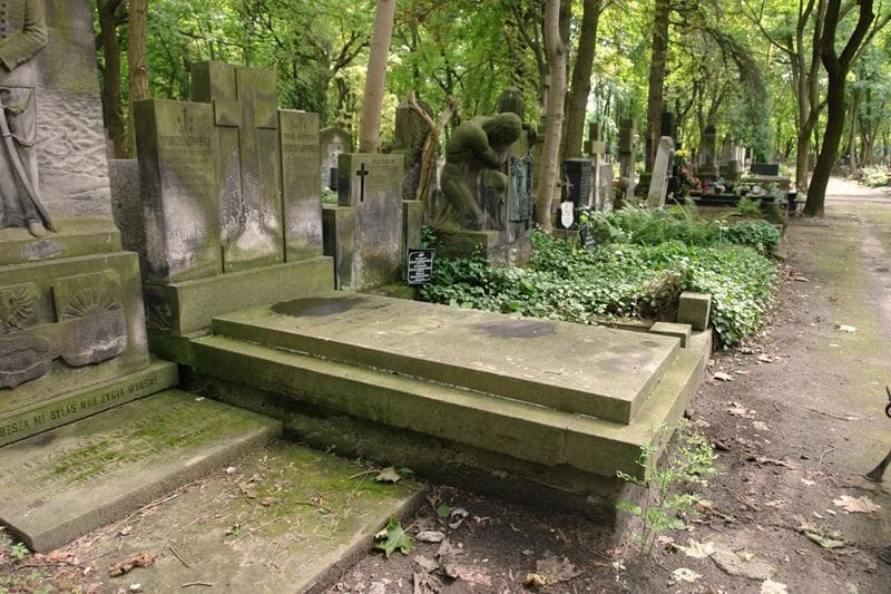 Zdjęcie grobu: Tekla Wyrzykowska