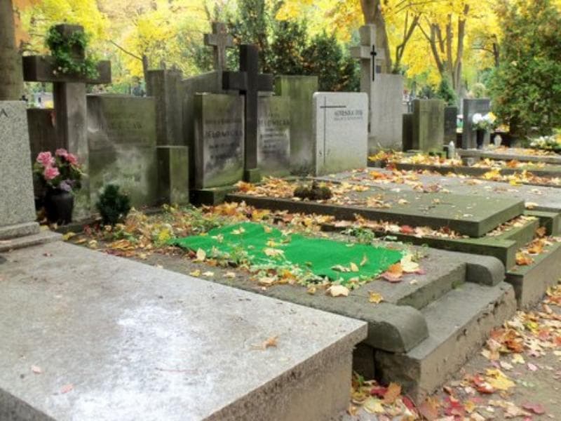 Zdjęcie grobu Stanisław Walczak (1)