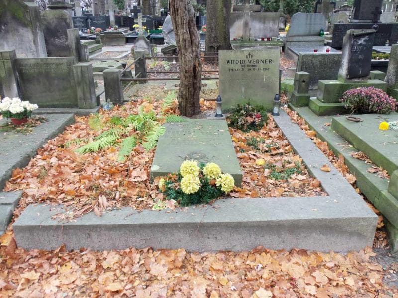 Zdjęcie grobu: Broniś Plewiński
