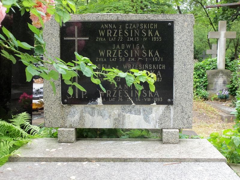 Zdjęcie grobu Anna Wrzesińska (2)