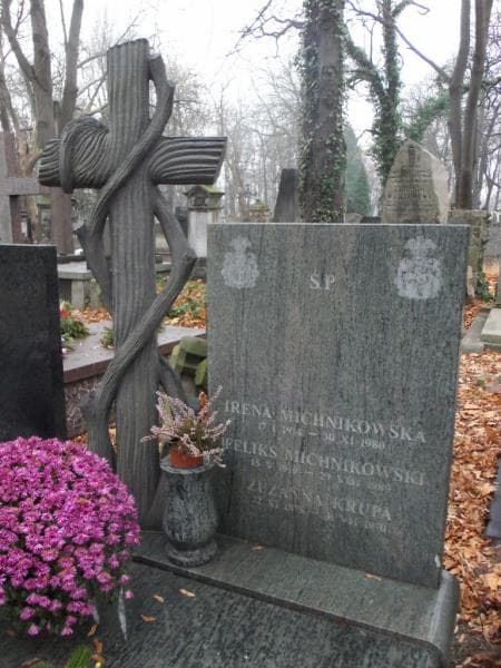 Zdjęcie grobu Feliks Michnikowski (2)