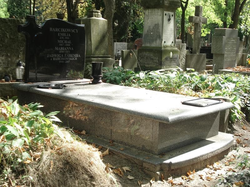 Zdjęcie grobu Michał Barcikowski (1)