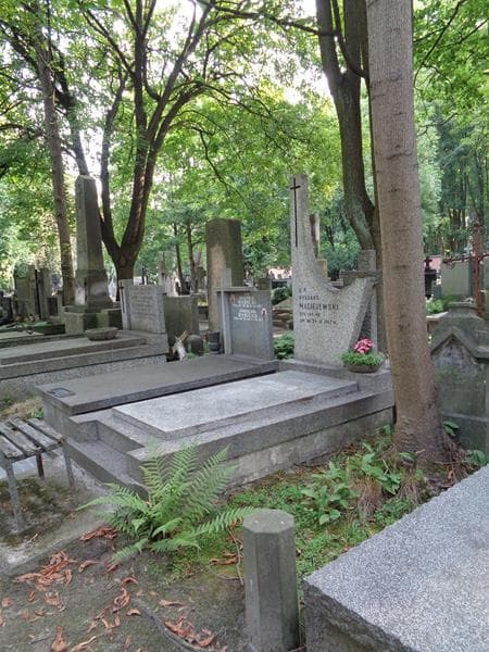 Zdjęcie grobu: Ryszard Maciejewski