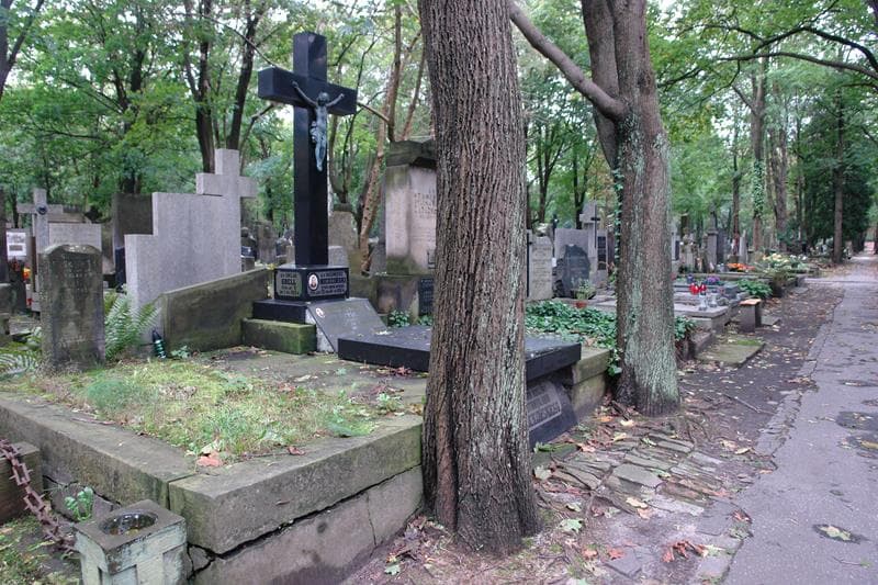 Zdjęcie grobu: Tadeusz Przytulski