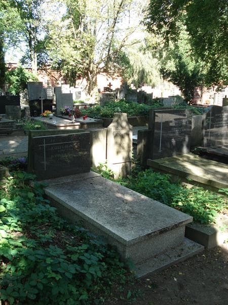 Zdjęcie grobu Józefa Majoch (1)