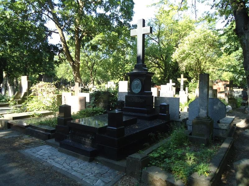 Zdjęcie grobu Aniela Ligarzewska (1)