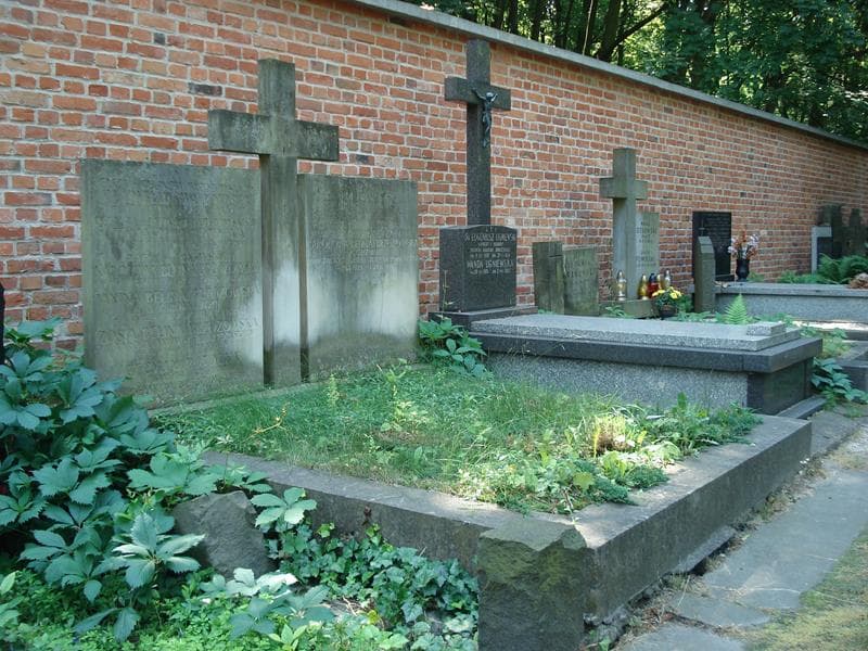 Zdjęcie grobu Jadwiga Belina Brzozowska (1)