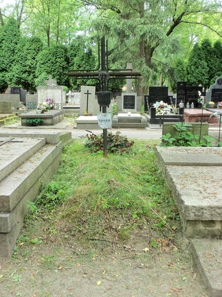 Zdjęcie grobu: Andrzejek Niewiarowski