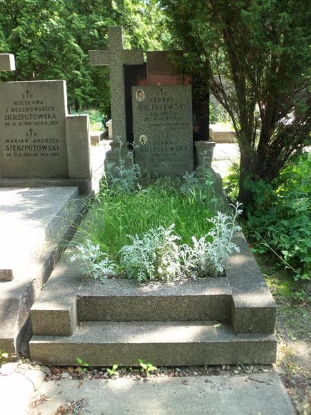 Zdjęcie grobu: Henryk Goliszewski
