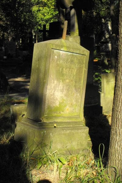 Zdjęcie grobu Ludwika Jahn (2)