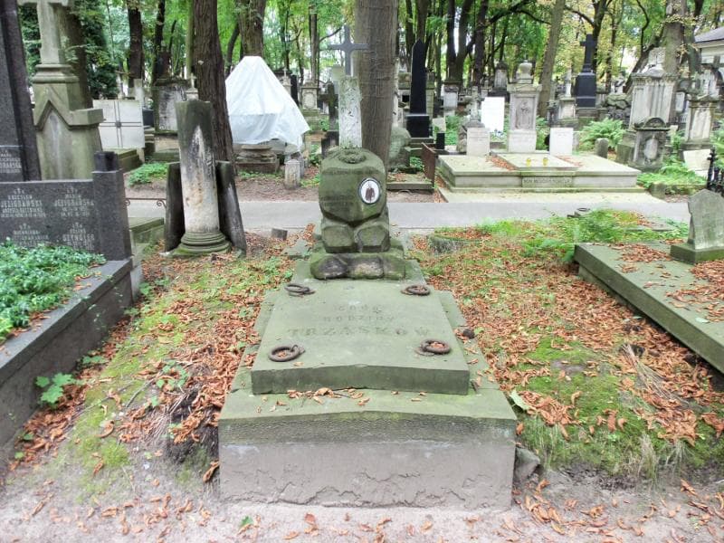 Zdjęcie grobu: Ludwik Trzaska