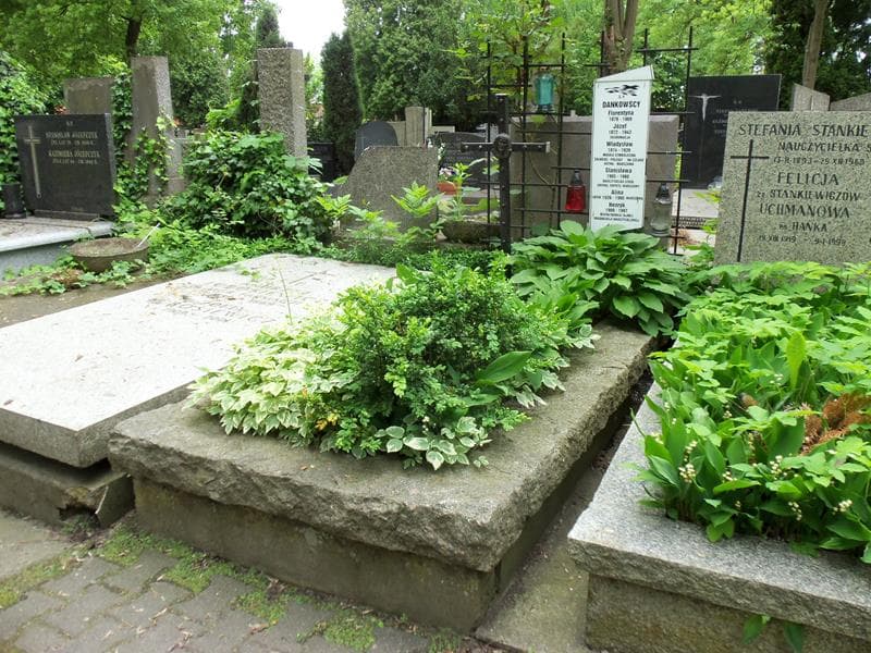 Zdjęcie grobu Henryk Dankowski (1)