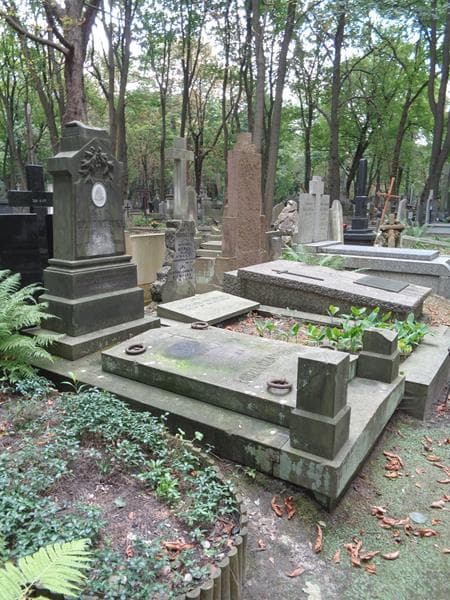 Zdjęcie grobu: Jan Czarniecki